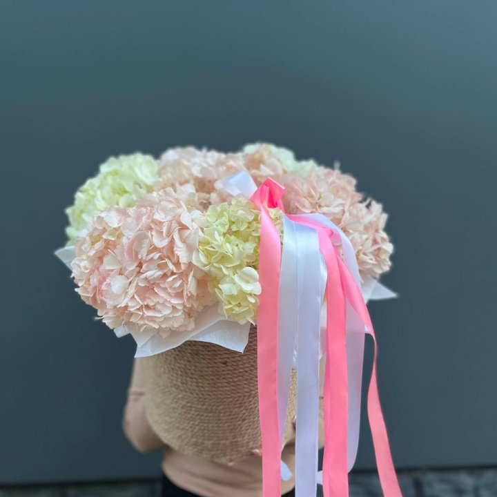 7 гортензий в кашпо в Новороссийске