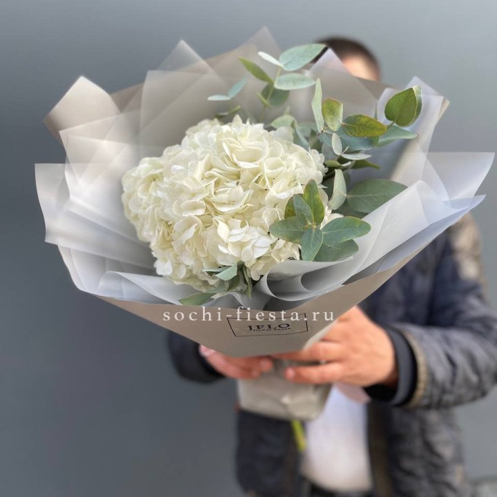  Букет  из белой гортензии в Новороссийске