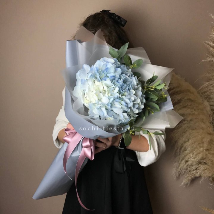 Гортензия Уно в Новороссийске