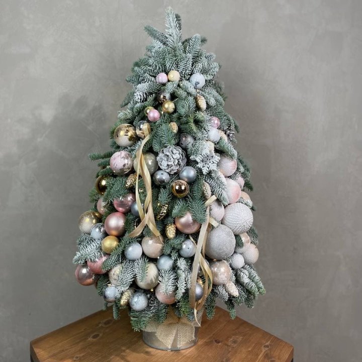 Новогодняя ёлка из веток датского нобилиса в Новороссийске