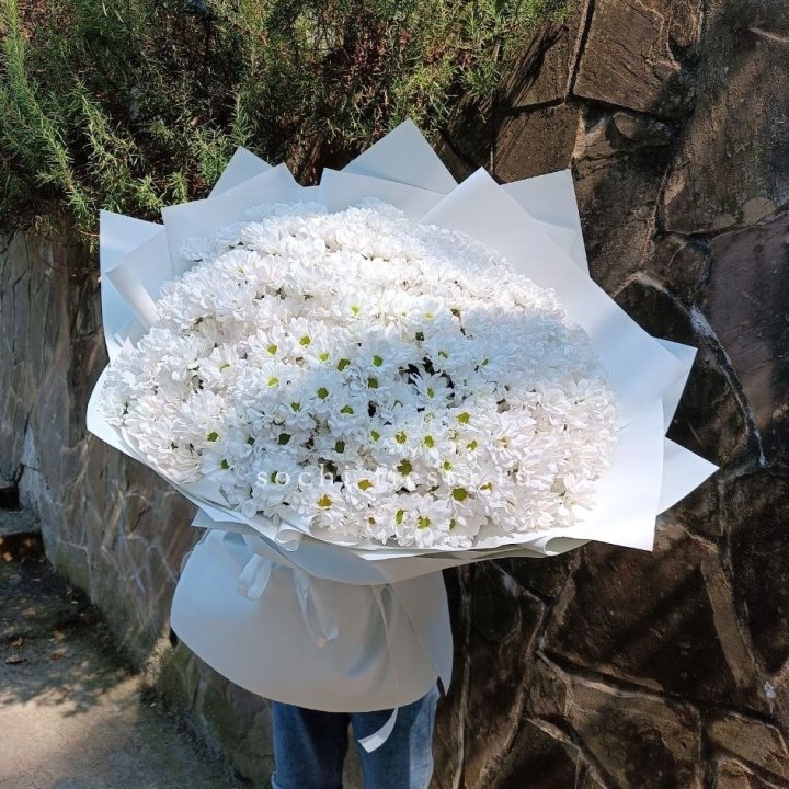 Облако хризантем №2 в Новороссийске