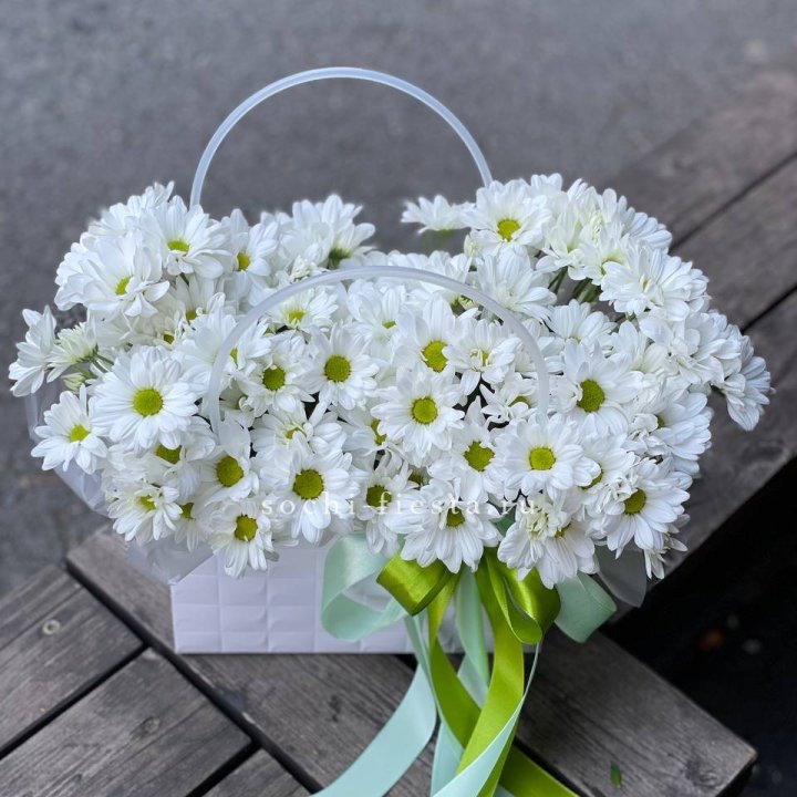 Сумка с хризантемами ромашками в Новороссийске