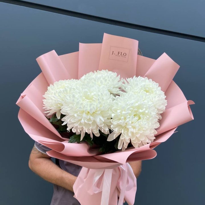 Профитроли №2 в Новороссийске