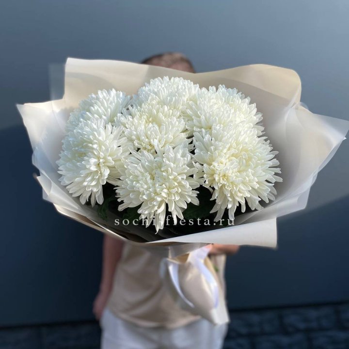 Профитроли в Новороссийске