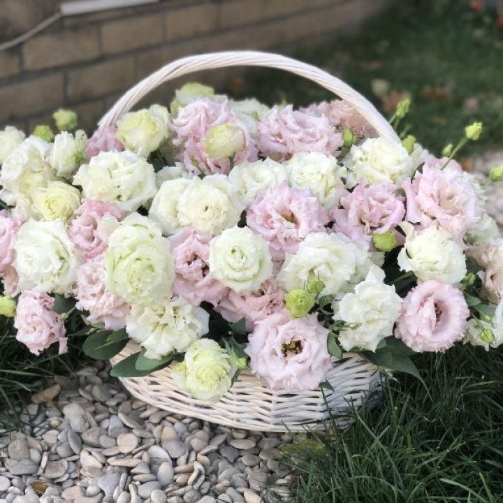 Корзина с эустомой в Новороссийске