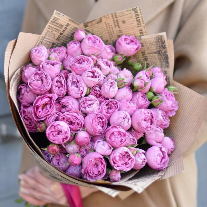 Роза Мисти Баблс в Новороссийске