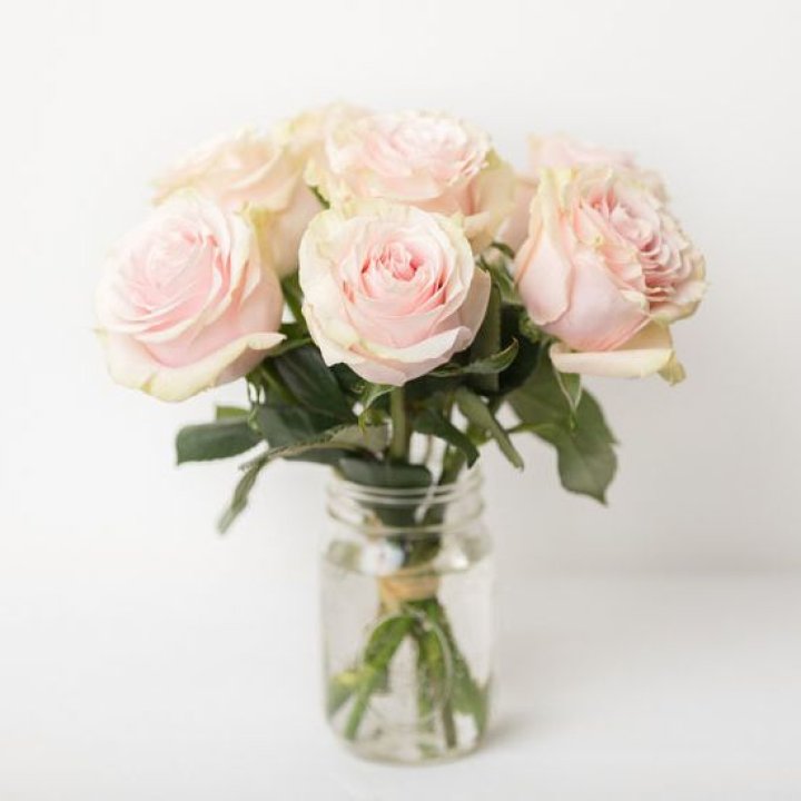 7 кремовых роз в Новороссийске