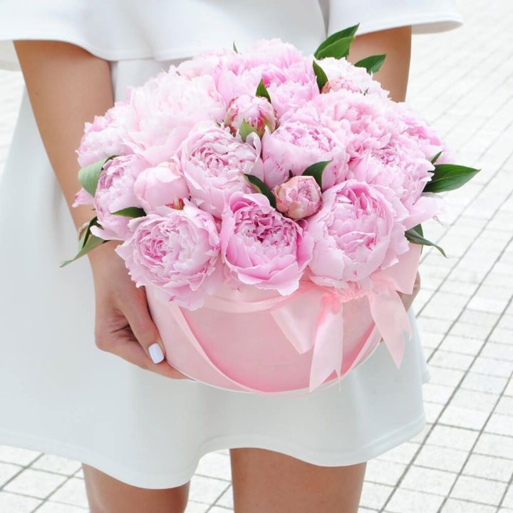 Пионы в шляпной коробке в Новороссийске