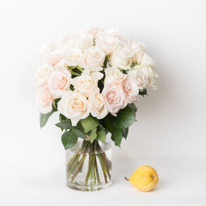 25 кремовых роз в Новороссийске