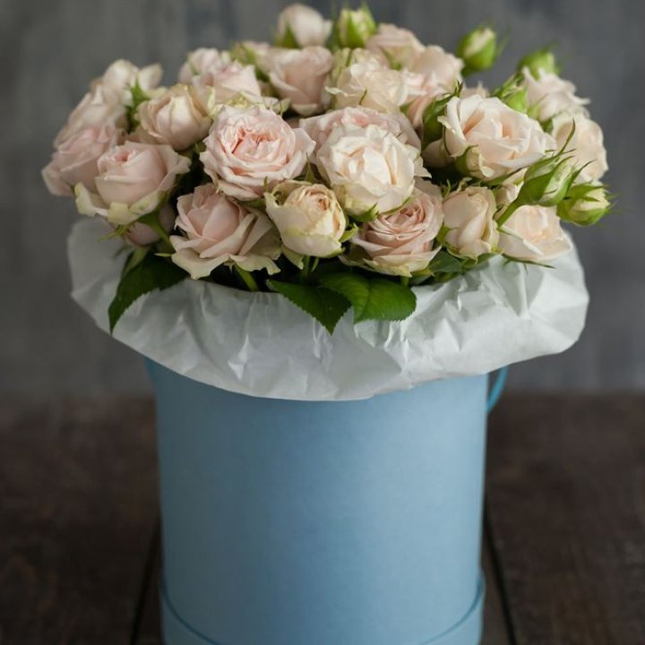 Бокс с бомбастиком в Новороссийске