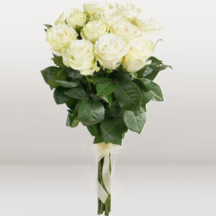 11 белых голландских роз в Новороссийске