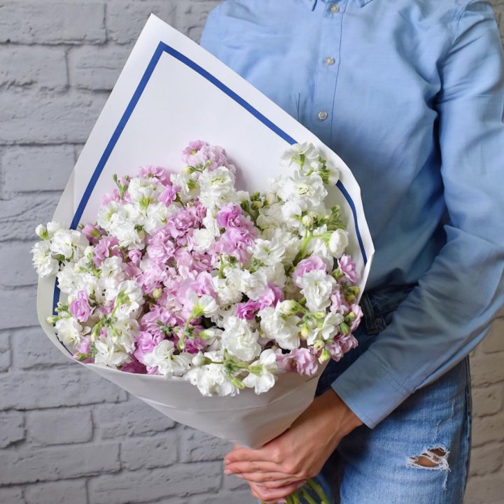 Маттиола в Новороссийске