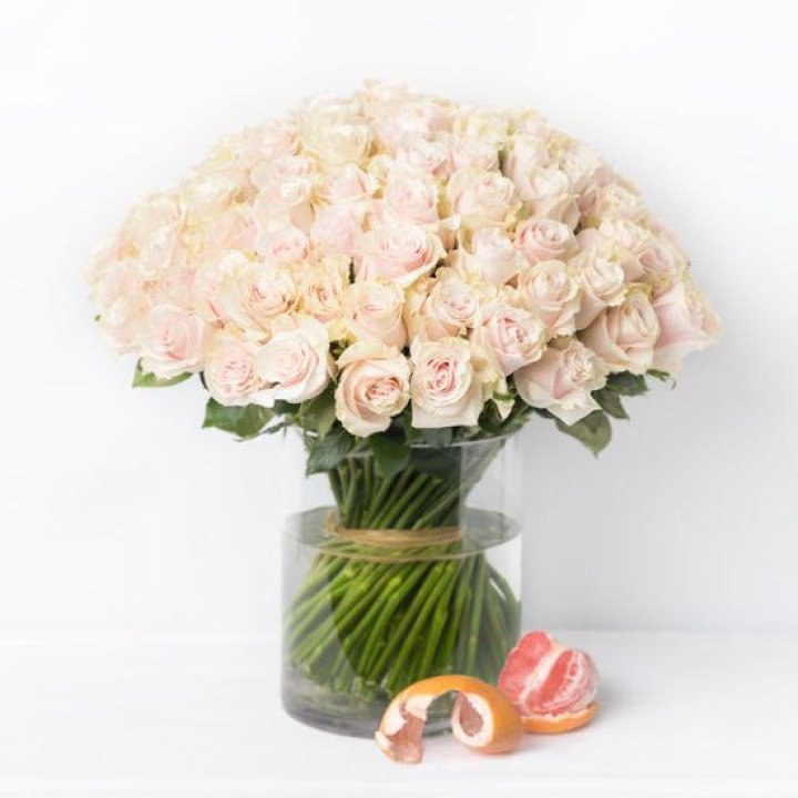 101 кремовая роза в Новороссийске