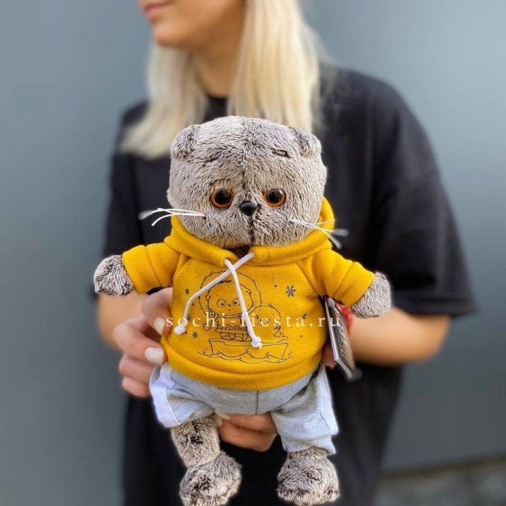 Кот Басик в худи в Новороссийске