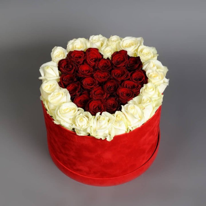 39 красных и белых роз в цилиндре в Новороссийске