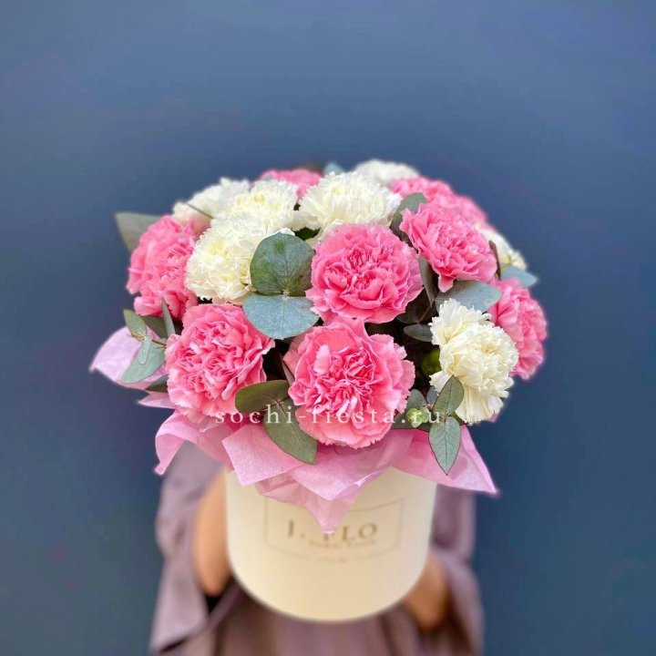 Диантусы в цилиндре в Новороссийске