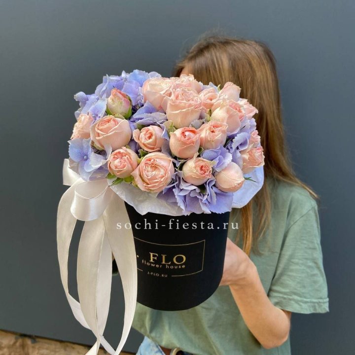 Бокс бомбастик и гортензия в Новороссийске