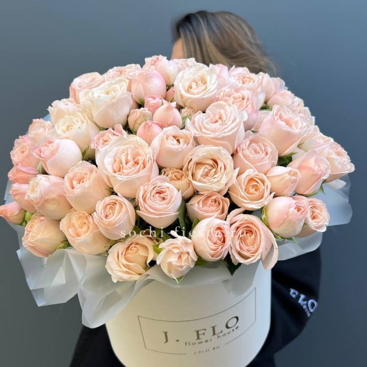 Бомбастик бокс Премьер в Новороссийске