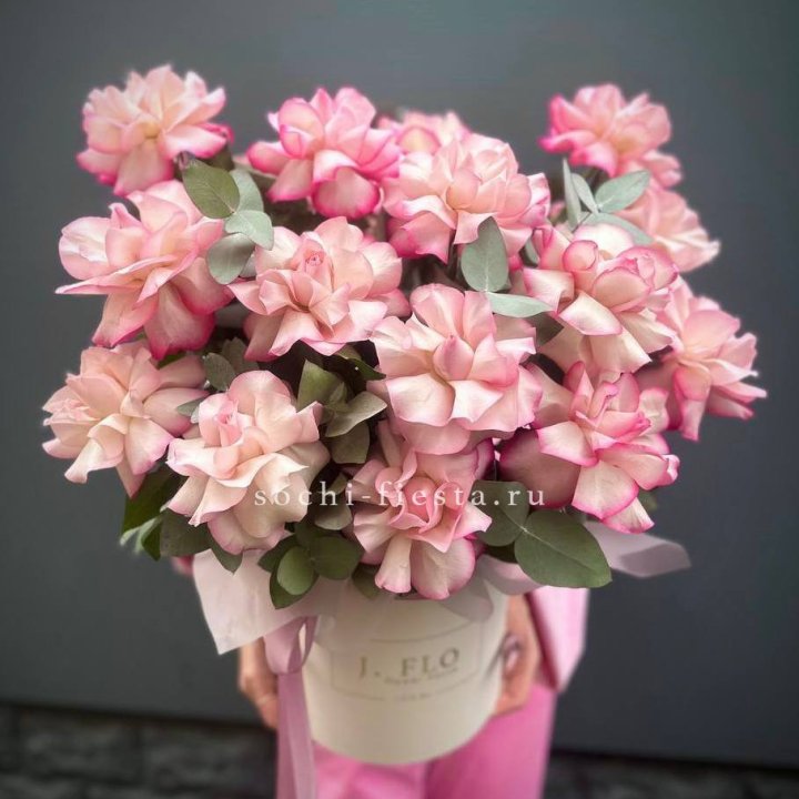 17 Французских  роз Венди в боксе в Новороссийске