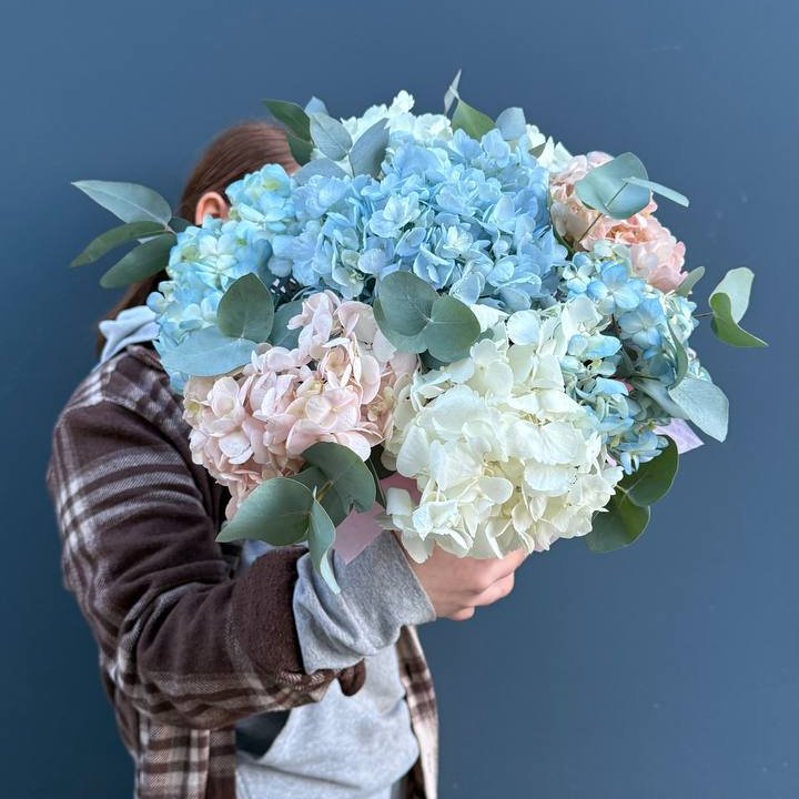 Гортензии в коробочке в Новороссийске