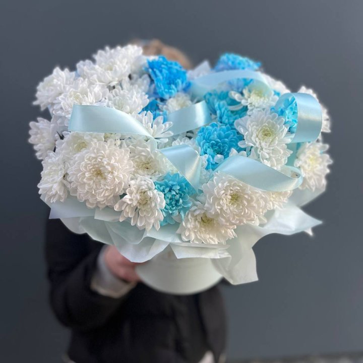 Хризнтемы в боксе в Новороссийске