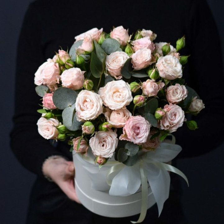 Бомбастик бокс №2 в Новороссийске