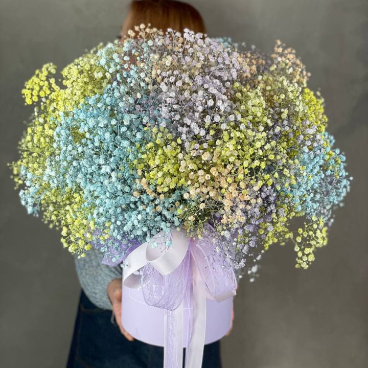 Бокс из гипсафил в Новороссийске