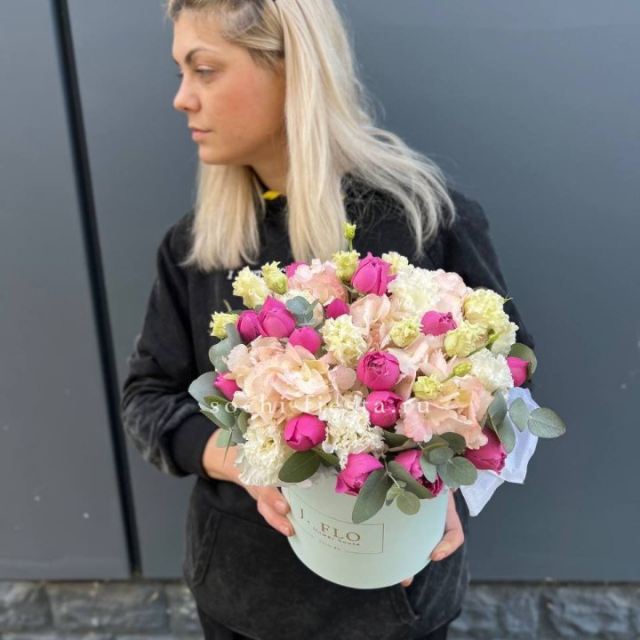 Сборный бокс премьер в Новороссийске