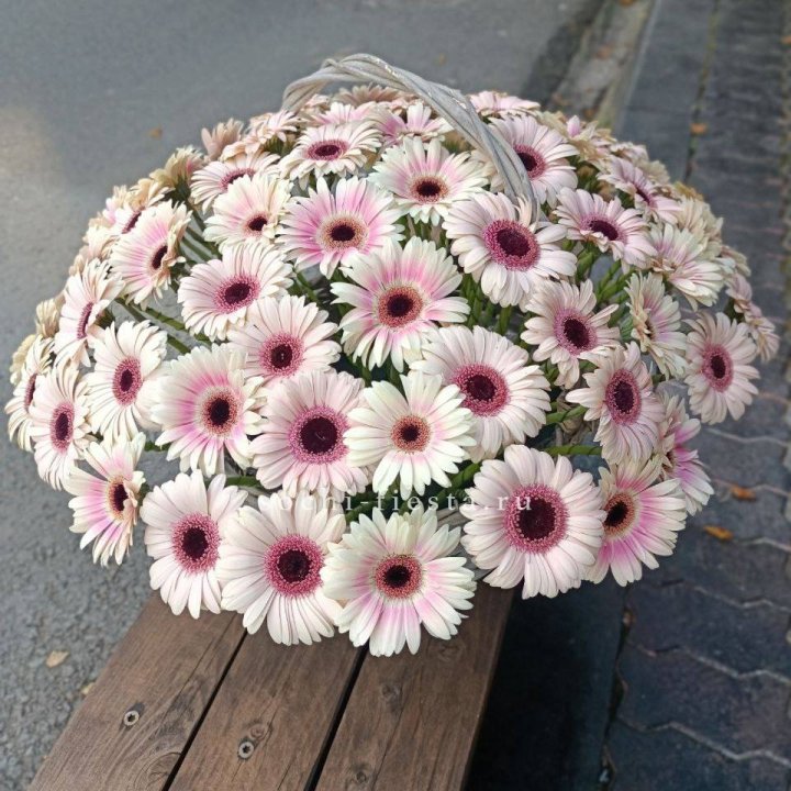 Корзина с герберами  в Новороссийске