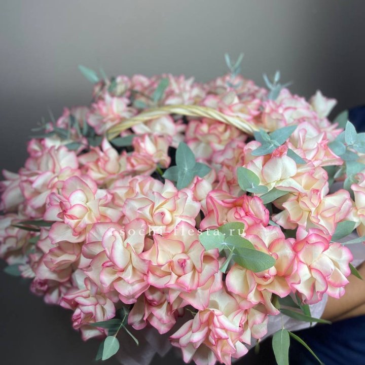 51 джумилия  в корзине   в Новороссийске