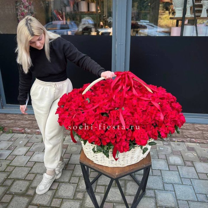 201 французская красная роза в Новороссийске