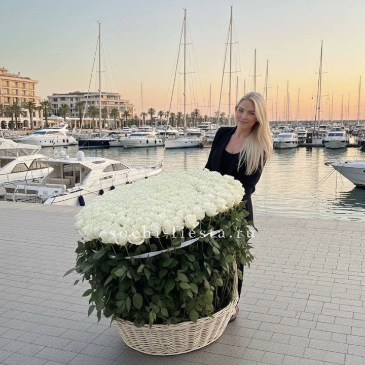 301 высокая роза в корзине в Новороссийске