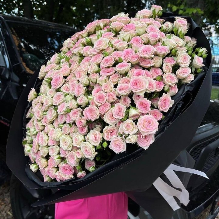 101 кустовая роза "Твистер" в Новороссийске