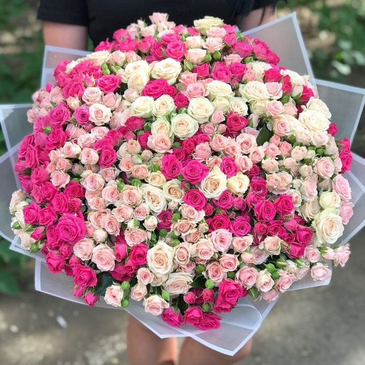 101 кустовая роза в Новороссийске