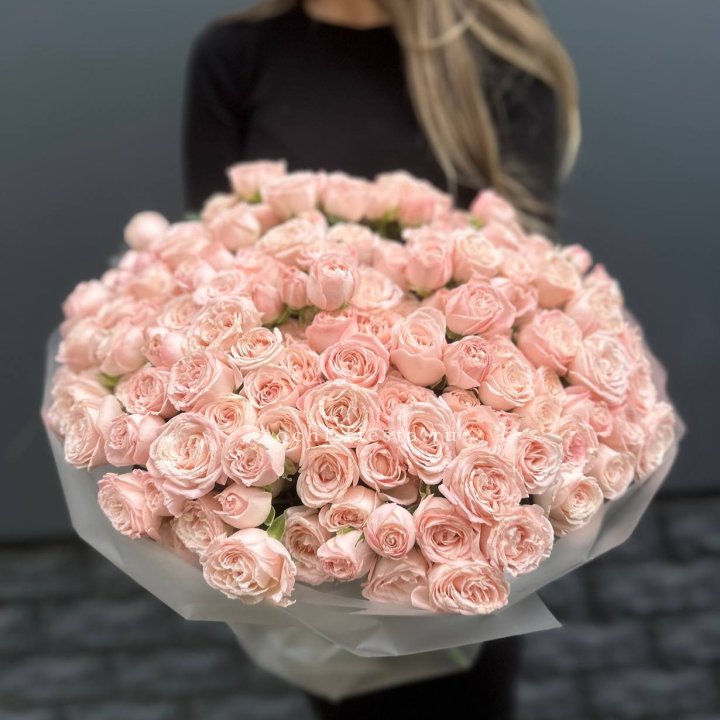 51 кустовая роза Бомбастик в Новороссийске