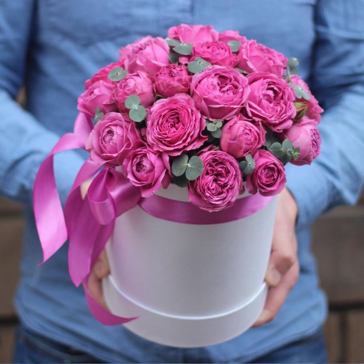 Бокс мисти баблс в Новороссийске