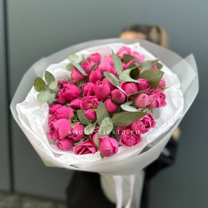 17 Мисти бабблс в Новороссийске