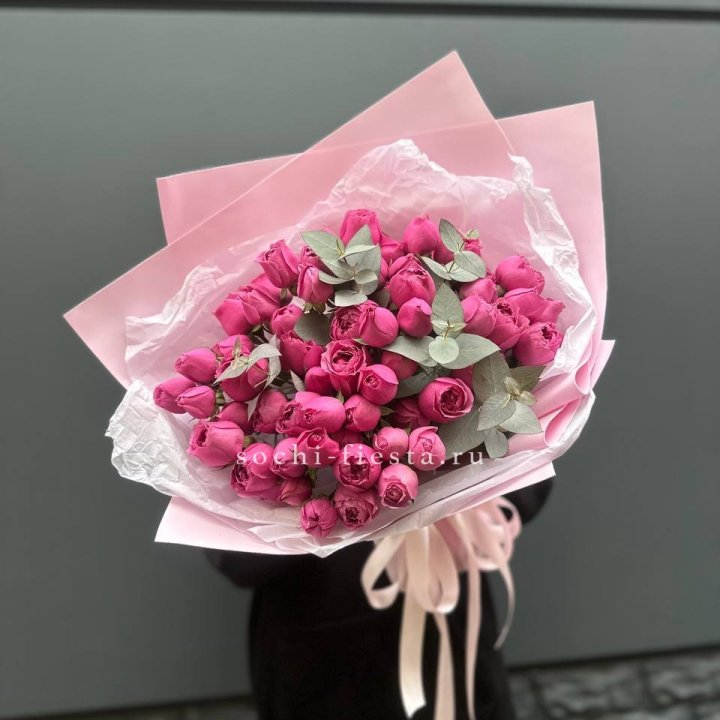 25 Мисти бабблс в Новороссийске