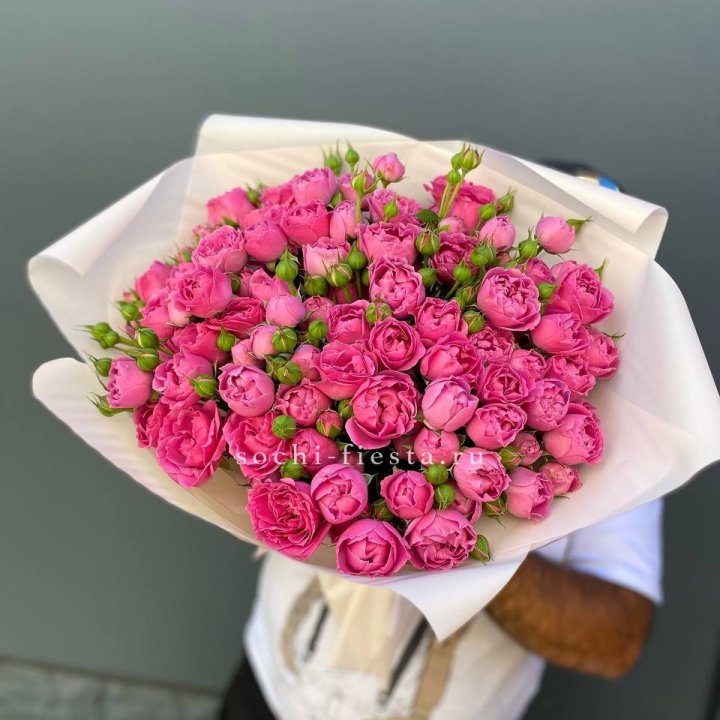 Мисти Баблс 35шт в Новороссийске