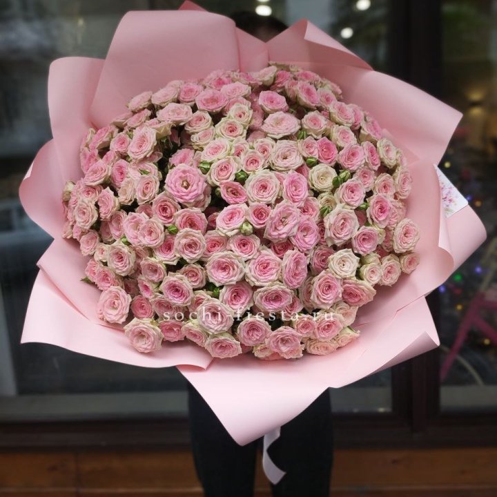 51 кустовая роза Твистер в Новороссийске