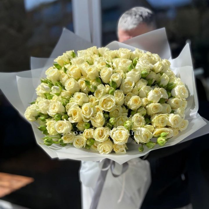 Белые кустовые розы 31 шт в Новороссийске