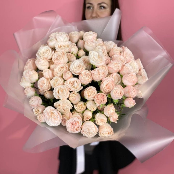 Carina в Новороссийске