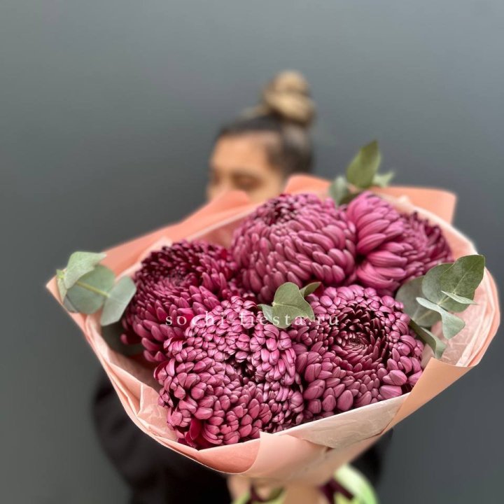 Хризантемы  Бигуди  в Новороссийске