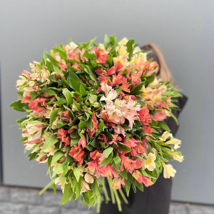 51 альстромерия в Новороссийске