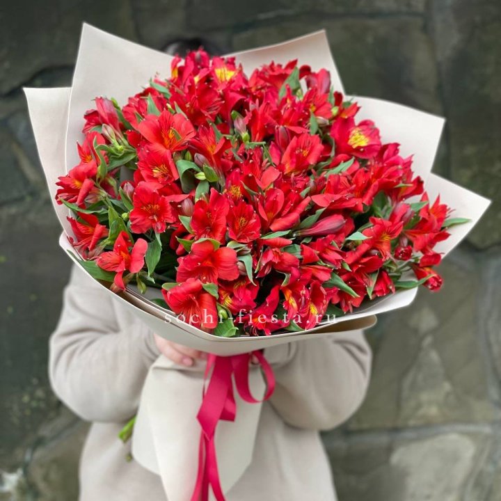 51 альстромерия в Новороссийске