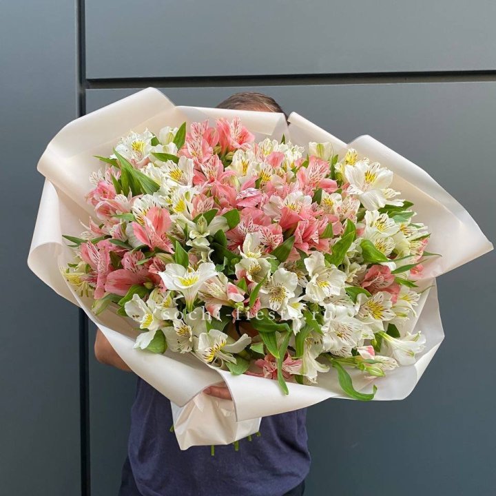 39 альстромерий в Новороссийске