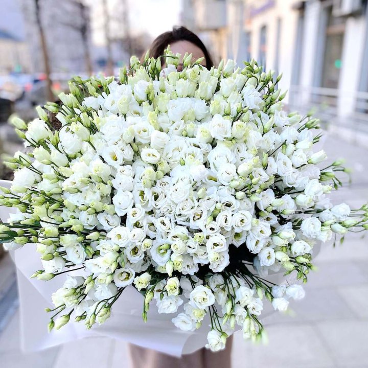 101 белая эустома в Новороссийске