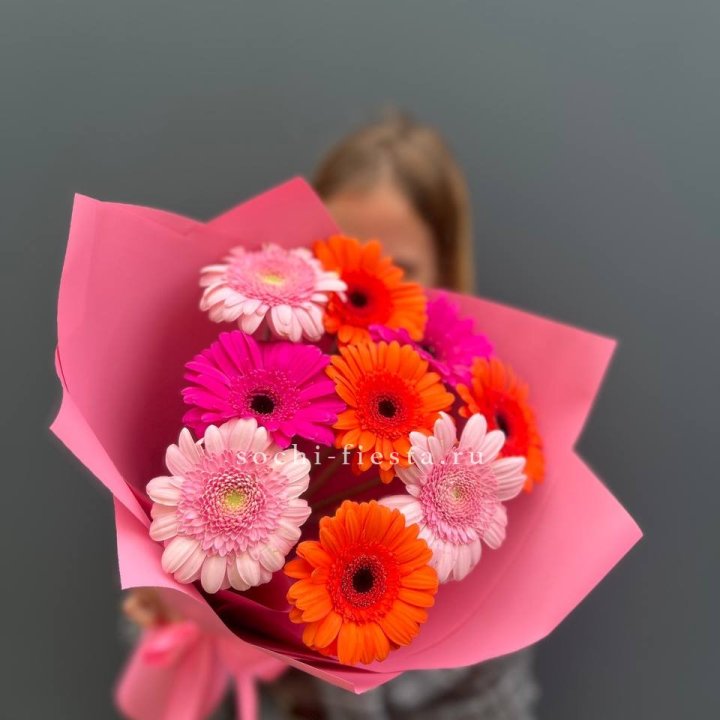 Краски в Новороссийске