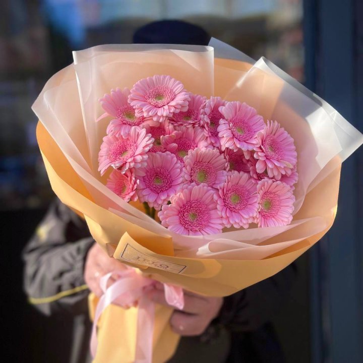 17 розовых гербер  в Новороссийске