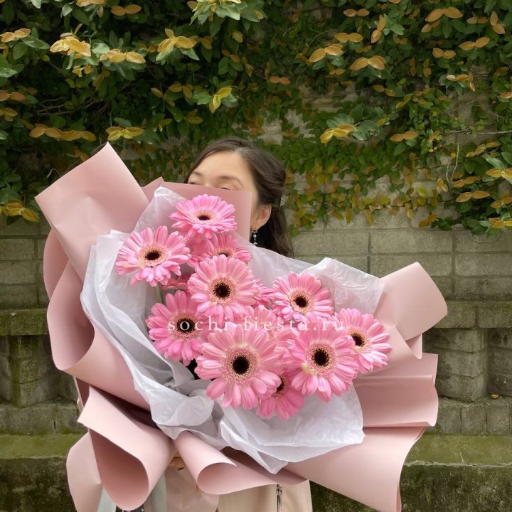 13 розовых гербер в Новороссийске